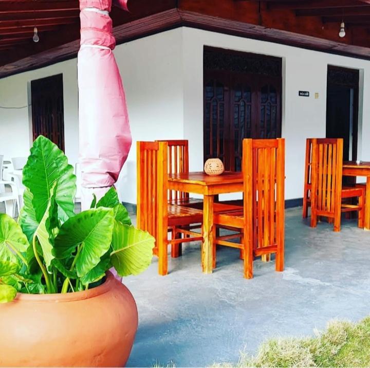 Tharurashmi Sea Pond Villa & Surf Hostel - Hiriketiya Dikwella Eksteriør billede