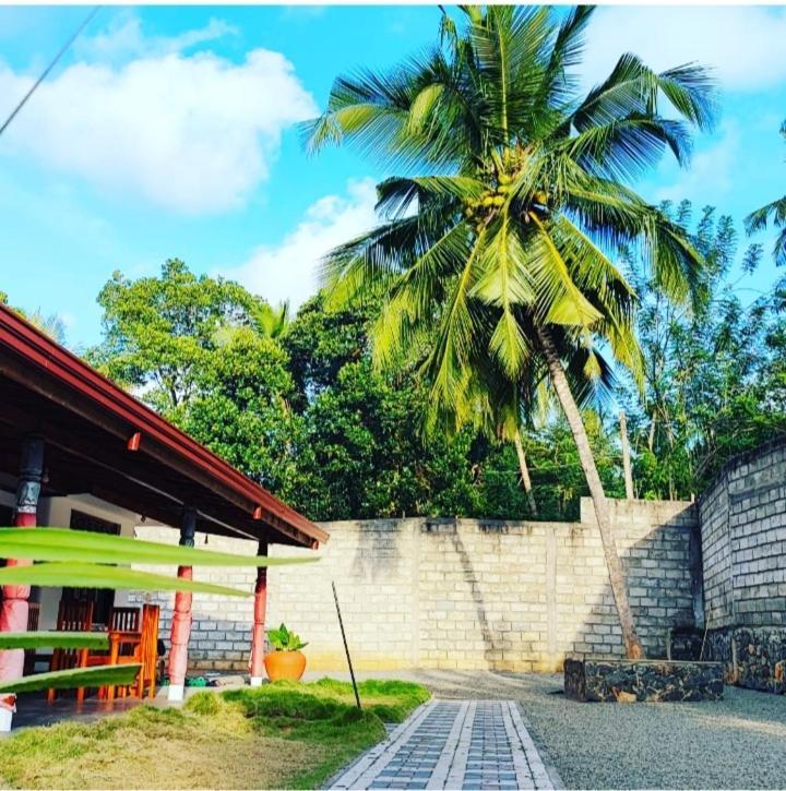 Tharurashmi Sea Pond Villa & Surf Hostel - Hiriketiya Dikwella Eksteriør billede